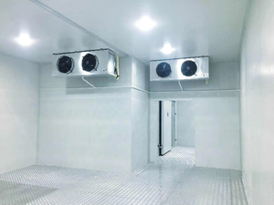 Chambre froide de 3 tonnes à prix de gros pour le stockage du poisson et de la viande - Product Image 6