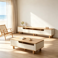 Table basse carrée moderne en bois avec rangement, design écologique et facile à nettoyer pour les petits salons et appartements.