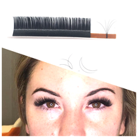 Extensions de cils individuels en éventail, courbure DD, 0.05 0.07 0.03, 17mm, faciles à poser, en poils synthétiques, bande noire en plastique, aspect naturel