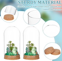 Glazen koepelvormige display met kurken deksels, decoratieve cloche, belvormige glazen stolp, planten specimen, knutselwerk, Pasen, eeuwige bloem, LED verlichte afdekking