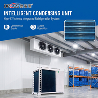 Unité de réfrigération à onduleur pour chambre froide, unité de condensation refroidie par air 12 CV, combinaison chambre froide et congélateur à soufflage supérieur pour stockage alimentaire