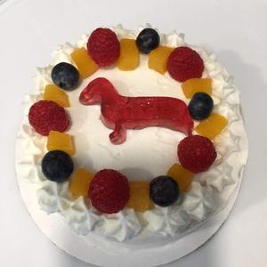 แม่พิมพ์น้ำแข็งซิลิโคนรูปสัตว์เกรดอาหารเครื่องมือตกแต่งเค้กดีไซน์สร้างสรรค์ออกแบบได้ตามต้องการ - Product Image 6