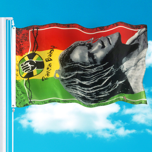 Banderas Publicitarias de poliéster de 3x5 pies, venta al por mayor, impresión digital, <span class=keywords><strong>Rasta</strong></span>, diseño personalizado - Product Image 3