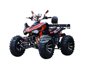 Quad tout-terrain 4x4 à essence, 250cc, à transmission par cardan, avec châssis robuste en acier pour environnements enneigés - Product Image 3