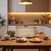 Cuisinière électrique multifonctionnelle 4,5 L et 6 L, cuiseur vapeur électrique, poêle électrique, fondue chinoise