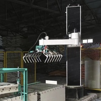 Mesin Palletizer Robot Otomatis Penuh untuk Pengemasan, Robot Palletizing 10kg 14kg 25kg untuk Kotak, Kemasan Semen, Kantong Benih