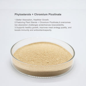 Suplemento Nutricional para Cerdos que Contiene Esteroles Vegetales + Picolinato de Cromo para la Promoción del Crecimiento y la Mejora de la Calidad de la Carne - Product Image 2