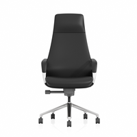 Chaise de bureau de direction en cuir véritable de qualité supérieure, avec soutien lombaire, hauteur réglable, design ergonomique, style moderne, aluminium