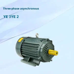 มอเตอร์อะซิงโครนัสสามเฟส AC รุ่น Ye3-160L-4-15Kw สำหรับอุปกรณ์เครื่องจักรกล - Product Image 3