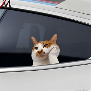 Creative Personaliti Cute Funny Meme Cat Notebook Equipaje Coche Pegatinas Reutilizable PVC 1 año de garantía Expresión sorprendida - Product Image 1
