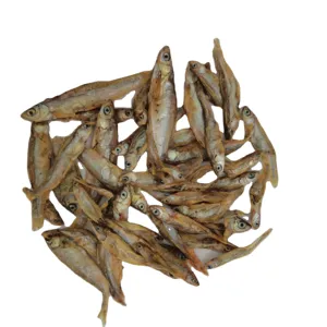 Chinese factory aquarium fish food / Sun dried fresh water fish