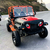 Buggy de plage Caiteng électrique/essence 300cc 350cc, mini jeep 4x4, transmission automatique, couleur personnalisable, pour adultes