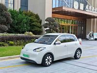 Wuling Binguo 2024 d'occasion, version Enjoy 333 km, voiture LHD importée de Chine Auto Web