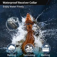 Neuestes Design IPX7 Wasserdichtes wiederauf lad bares E-Halsband Hunde trainings halsband mit Fernbedienung