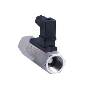Magnetic Reed Switch Water Flow Normal Open Alarm Fluid 24V 220V Water Magnet Stainless Steel Flow Switches
