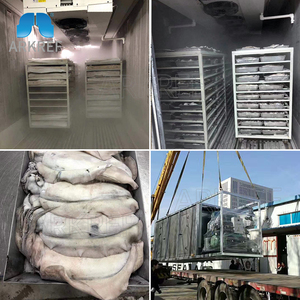 Arkref cá lạnh lưu trữ phòng, tủ đông tủ lạnh, rau quả đáp ứng đông lạnh thiết bị phòng lạnh - Product Image 5