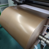 Papel de Aislamiento para Condensadores, Lámina de Poliéster para Condensadores, 0.15mm 0.20mm, Papel de Aislamiento PMP, Aislamiento Eléctrico