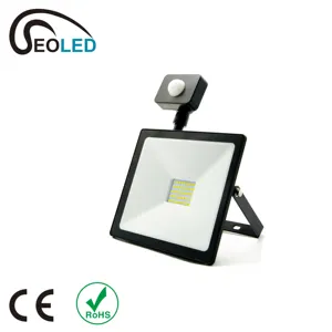 LED sel ışıkları IP65 127V 230V su geçirmez yüksek lümen PIR hareket IP44 10W 20W 30W 50W 70W 100W 200W ac ışıldak