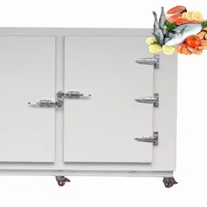 Fruit Blast Freezer /chicken blast freezer/blast freezer machine -80 blast freezer tunnel