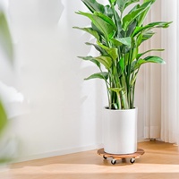 Support de plantes à roulettes pour l'extérieur, lot de 2, plateau roulant avec roues, 12 pouces, support de plantes robuste pour plantes de grande taille