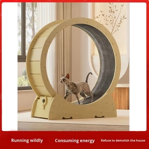 Liquidación 2026: Estructura de ejercicio minimalista para gatos con tablero de densidad, cinta de correr duradera para mascotas, para gimnasio en casa. - Product Image 4