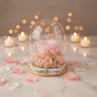 Essentiels de la Saint-Valentin 2026 : Rose éternelle sous cloche en verre, coffret cadeau pour la Saint-Valentin, décoration de mariage, La Belle et la Bête