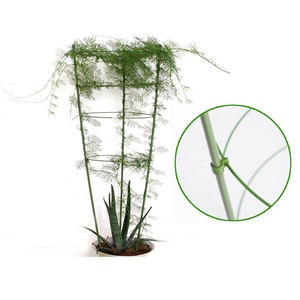Bâtons d'escalade avec 3 anneaux pour plantes <span class=keywords><strong>de</strong></span> jardin, <span class=keywords><strong>Support</strong></span> <span class=keywords><strong>de</strong></span> fleurs, en treillis floral, bacs à semis, dosettes, 40 pièces - Product Image 4