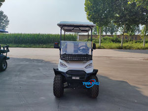 Véhicule tout-terrain à arbre 48/60/72V <span class=keywords><strong>4000W</strong></span> <span class=keywords><strong>Quad</strong></span> Bike Chariot de golf électrique - Product Image 5