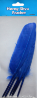 Plume de canard naturelle teinte pour l'artisanat d'art DIY Coiffe Chapeau Cheveux Costume Accessoire Carnaval Fête Mariage Maison Halloween Décor