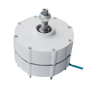 Gratis Pengiriman 600W PMG Generator Magnet Permanen 12V 24V 48V untuk Pilihan