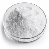 Nicotinamide Adénine Dinucléotide 98% NAD+ CAS 53-84-9 Anti-âge Énergie Cellulaire Longévité pour Produits de Soins de Santé