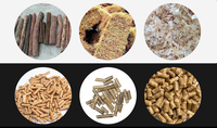 Moulin à granulés de bois professionnel Anneau avancé Die Biomasse Pellet Machine Solution de chauffage efficace