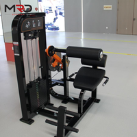 Machine de musculation robuste pour l'extension dorsale, entraîneur du bas du dos, équipement d'entraînement du dos, machine de musculation pour la salle de sport