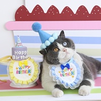 Ensemble Chapeau Couronne d'Anniversaire et Bavoir Brodé avec Nœud pour Animaux de Compagnie (Chiens et Chats) – Décoration de Fête
