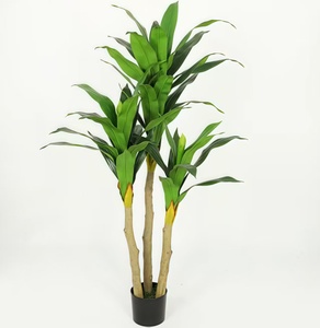 Cây Bonsai nhân tạo nhiều kích cỡ bán buôn, cây nhân tạo có chậu, cây rồng giả - Product Image 6