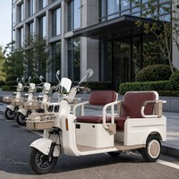 Vélo électrique rétro à design ouvert, sans balais, double siège, panier avant, phare LED, frein à disque hydraulique, batterie au plomb-acide 3 vitesses
