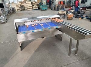 Máquina Automática de Clasificación y Calibración de Frutas, Verduras, Piñas, Aguacates y Cangrejos de Río, Fabricada en Acero Inoxidable 304 - Product Image 4