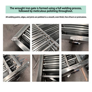 ซัพพลายเออร์ยอดนิยม รับผลิตตามสั่ง <span class=keywords><strong>ประตู</strong></span>เหล็กดัดแบบยุโรปสำหรับทางเข้าด้านหน้า - <span class=keywords><strong>ประตู</strong></span>รักษาความปลอดภัยที่ทนทานสำหรับที่อยู่อาศัยและเชิงพาณิชย์ - Product Image 6