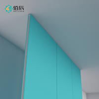Paneles Modulares Hechos a Mano para Cuartos Limpios BaiChen, Paneles Decorativos para Techos y Divisiones para Quirófanos de Hospitales, Nueva Construcción