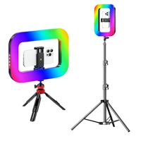 Anneau lumineux LED RGB pour téléphone, type cage à lapin, avec trépied au sol et support magnétique portable pour diffusion en direct et vidéo