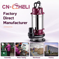 Pompe submersible ZHELI 2 pouces 220V en acier inoxydable pour l'irrigation des champs agricoles