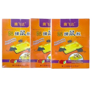 China Wholesale Glue Cardboard Trap For Rat Mouse Mice Trap customers are satisfy highly effective product on time delivery