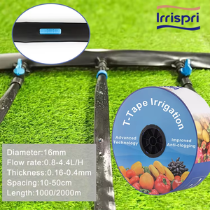 Nastro gocciolante di alta qualità 16M albero dorato plastica Cinta De Goteo Para Arbol Turco con spaziatura di 20cm - Product Image 5