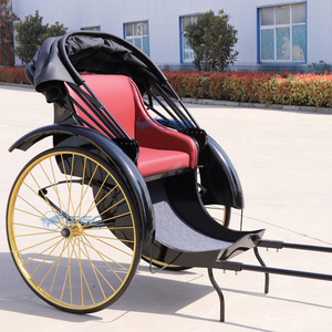 Carroza de Lujo Tipo Rickshaw, Carroza Real para Caballos en Venta, Transporte Especial, Carroza de 2 Ruedas para Poni, Rickshaw - Product Image 3