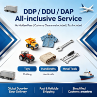 Service tout compris DDP/DDU/DAP |   Agent d'expédition tout compris de Chine vers la Turquie, le Maroc, la Tunisie, le Pérou, l'Argentine