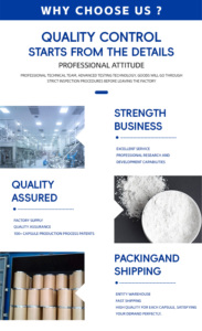 Creatina Monohidrato WECAPS (Micronizada, Grado USP/FCC) CAS 6020-87-7 para Nutrición Deportiva y Suplementos Dietéticos - Product Image 4