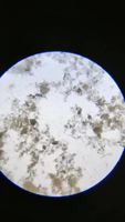 Hot SellingService Tool, School Biology Microscope for Laboratory Research Microscope Binocular Biological Microscopes