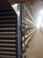 Vente directe usine : Nouveau système d'élevage automatique de type H, cages en batterie pour poulets pondeuses, galvanisées à chaud