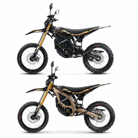 Produit Officiel Authentique 2026 Surron Carbon Black Ultra Bee Moto Électrique Tout-Terrain 24.5kw 74V60AH Prêt à être Expédié