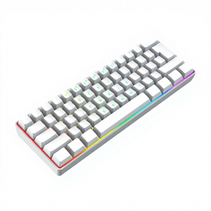 Stock Custom LOGO 61-Key RGB <b>Mini</b> Mute Type-C Portable Gaming Mechanical Keyboard for PC - Product Image 1